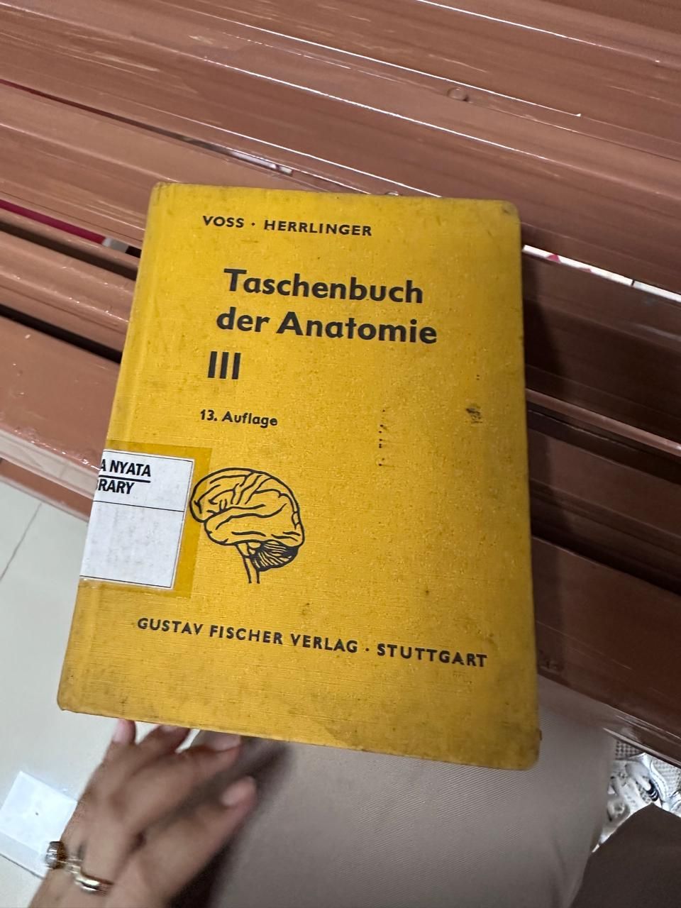 Taschenbuch der Anatomie III